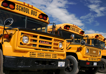 Outside front view of three school buses lined up