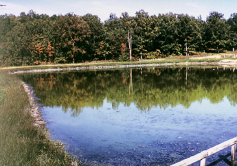 City Lagoon #3, formerly Hulett Lagoon, when it was active in 1974.