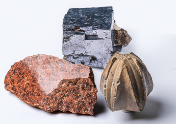 Rock,s minerals, fossils specimens