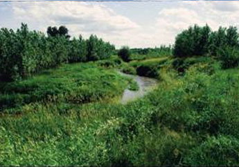 A waterway in a grassy field.