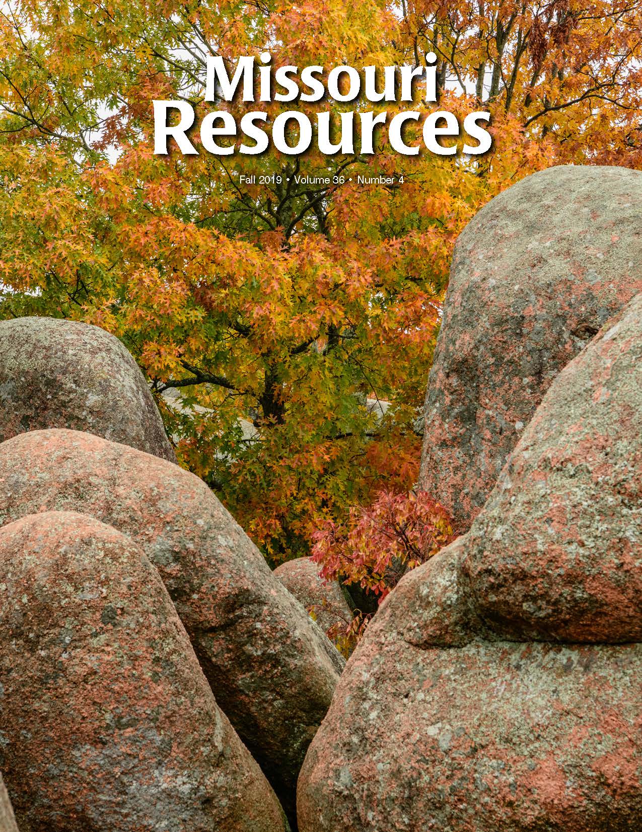 Leaves turn shades of yellow and orange behind a pile of red granite boulders as fall colors peak at Elephant Rocks State Park.