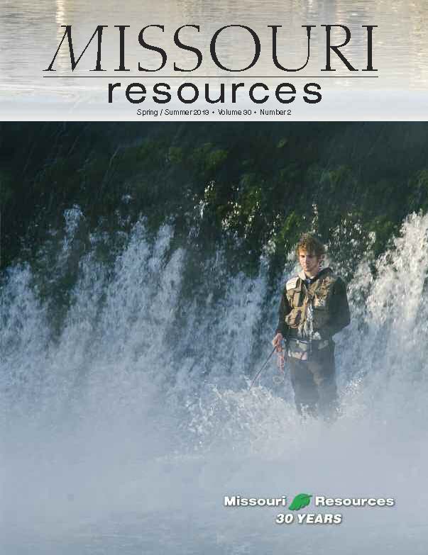 The hatchery dam at Bennett Spring State Park is a popular place for trout fishermen.