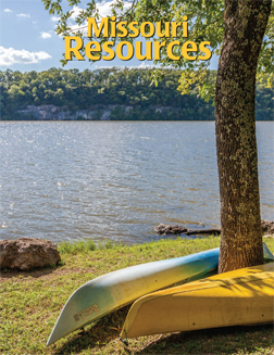 Canoes rest on the water’s edge at Lake of the Ozarks State Park.