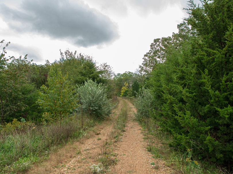 Dirt pathway between trees and bushes along the Rock Island Corridor