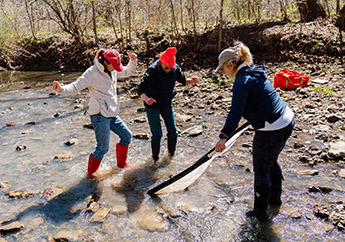 Members of a stream team "dancing" in a creek to stir up sediment for sampling