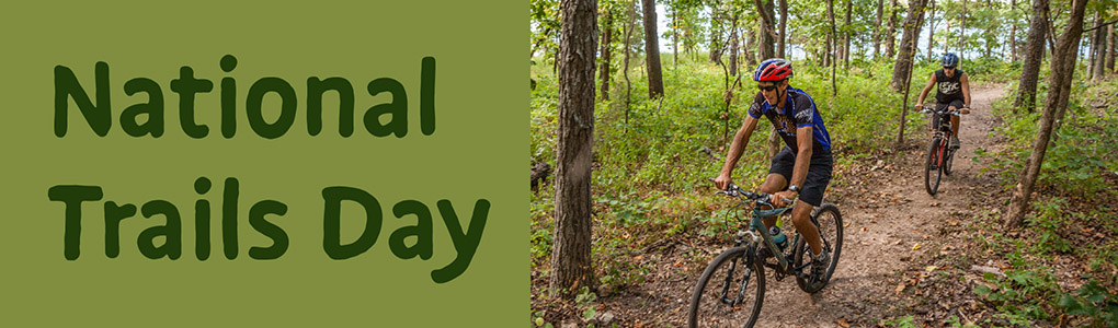 Two male cyclists biking on a dirt trail through the woods