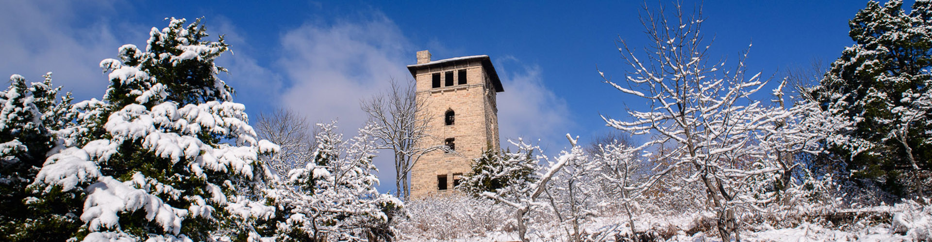 Snow covered trees around the Ha Ha Tonka Water Tower