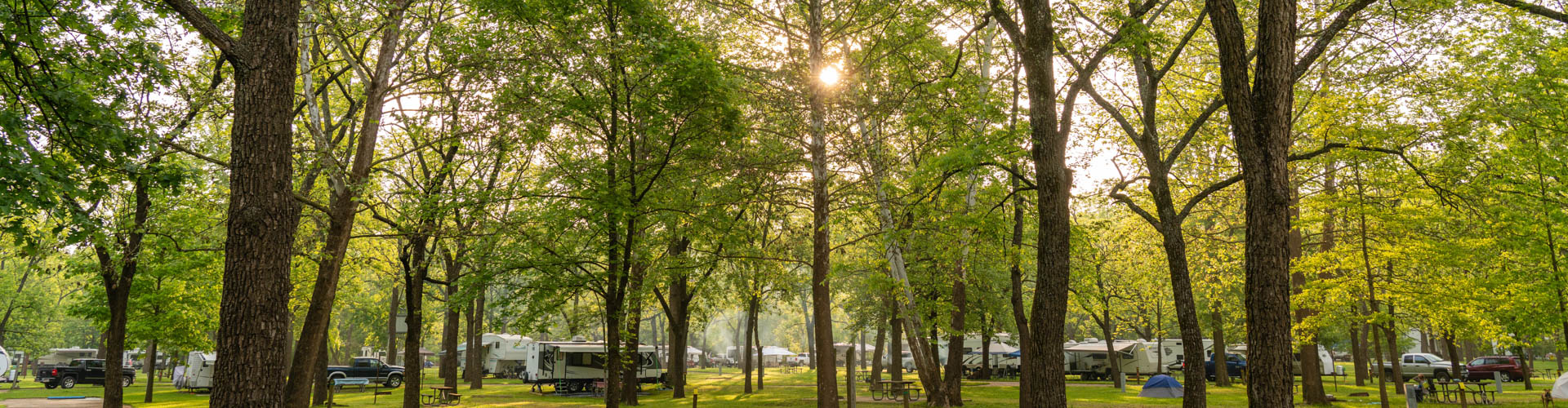 A shaded campground featuring numerous mature trees and RVs set up for seasonal camping