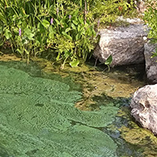 Impaired Waters