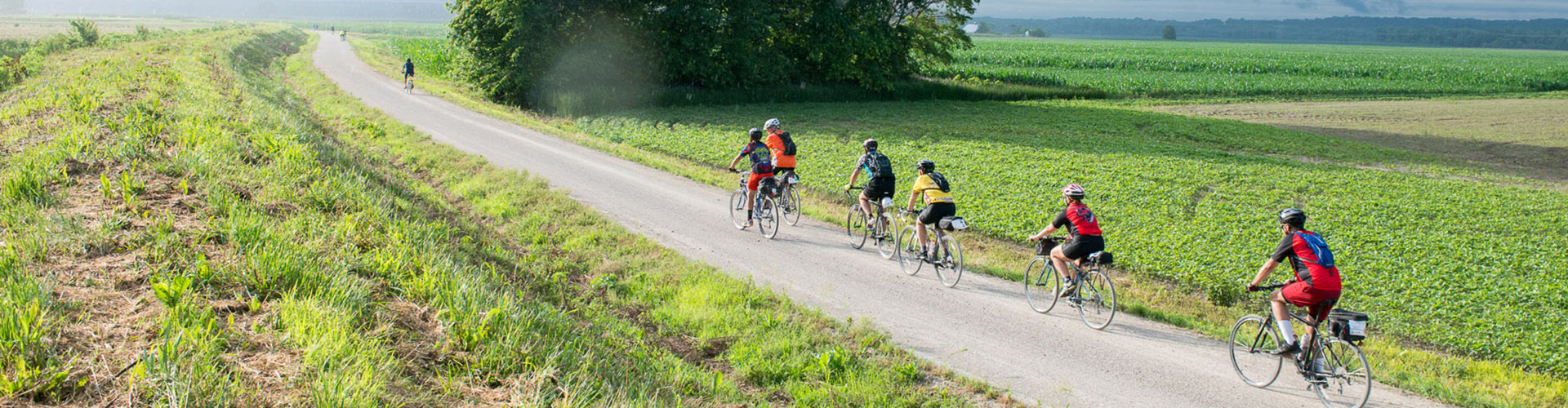 Several cyclists biking on a section of the Katy trail that passes between two hay fields