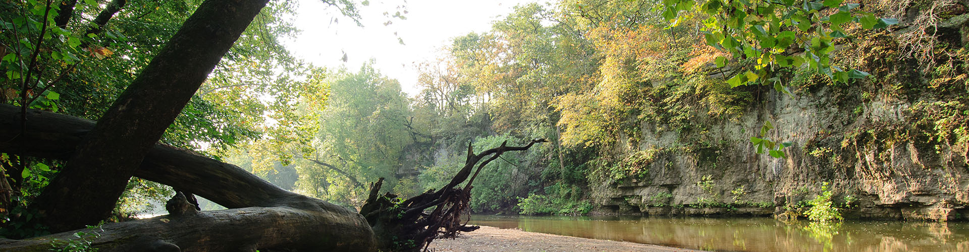 Coonville Creek at St. Francois State Park