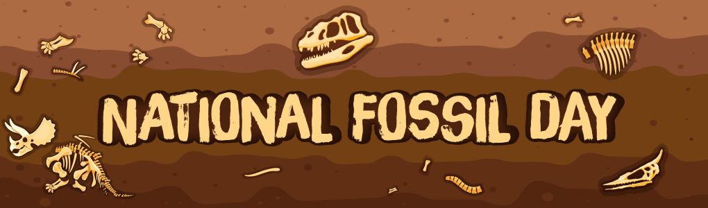Cartoon illustrations of dinosaur bones, a T-rex skull, and a Triceratops skull against a layered brown dirt background