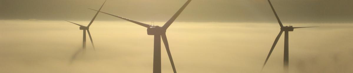 The tops of wind turbines at a wind farm, with a thick layer of fog covering the ground and bottom of half of the turbine