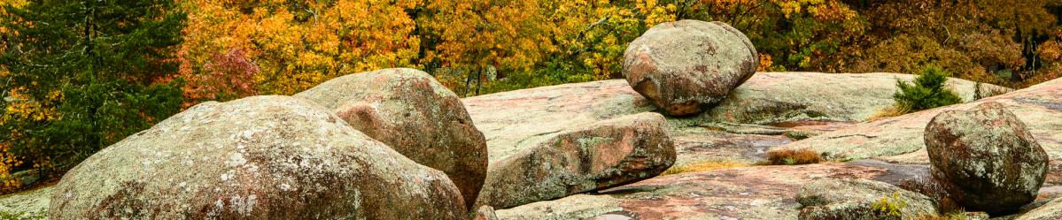 Large boulder-size rocks and trees with fall color leaves