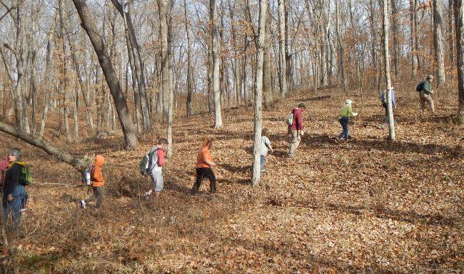 Hikers walking in a line along a leaf-covered trail.