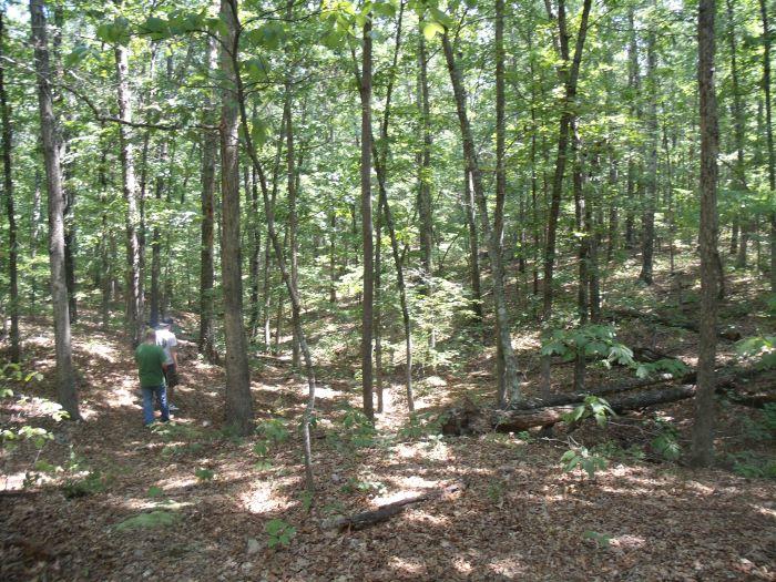 Two people hiking on a trail in a forested area.