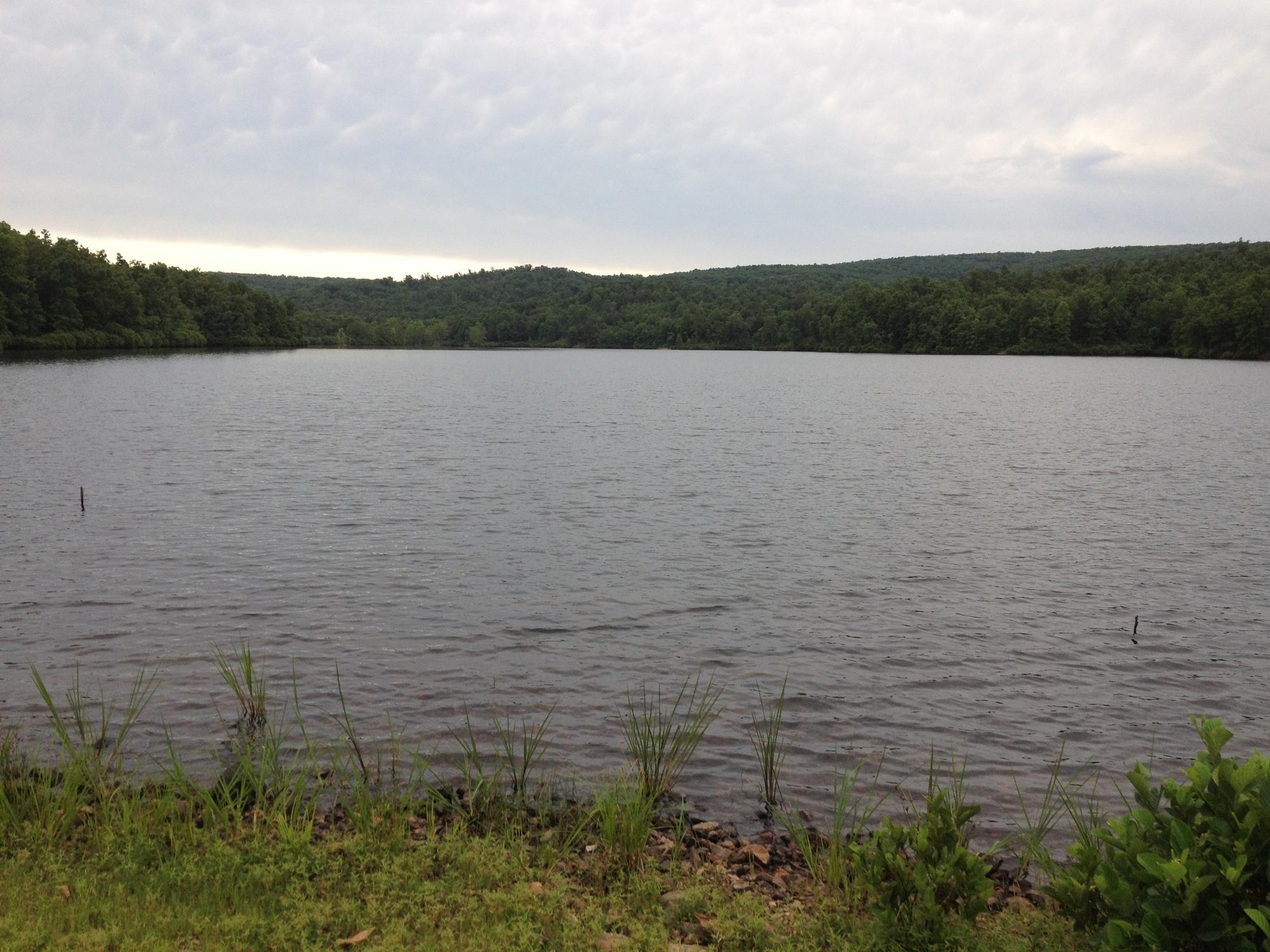 Lake with grass in foreground and background.