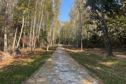 Gravel trail with lined by grass and trees.