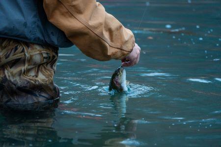 Person in camo hip waders standing in Bennett Spring right arm extended with trout on line.