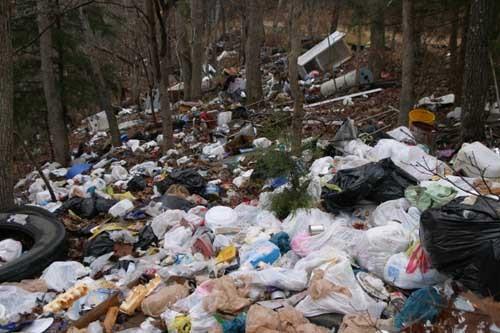 Abandoned piles of household garbage, used tires and bags of yard waste in the bottom of a ravine.