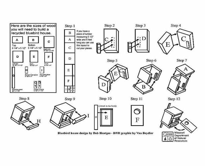 Measurements and visual instructions for building a bluebird house