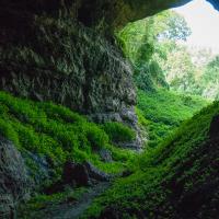 Grand Gulf Cave