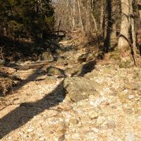 Camden County losing stream