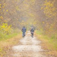 Unique Places Category Finalist - Bob Crow, Autumn Katy Trail