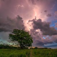 Natural Resources Category Finalist - Dan Zarlenga, Lightning Strikes at Danville Conservation Area