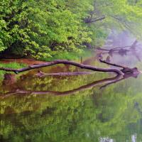 Natural Resources Category Finalist - Scott Hamblen, Lifting Fog on Lake Taneycomo