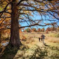 People Enjoying Missouri's Outdoors Category Finalist - Nancy VanDover, Family Hike