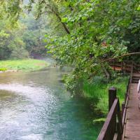 People Enjoying Missouri's Outdoors Category Finalist - Cindi Shanika, Walking Along the Boardwalk on the Lower Spring Trail