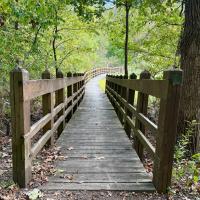Unique Places Category Finalist - Kristen Kutzli, A Bridge to Beauty