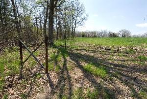 Woodland Erosion