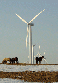 Wind turbines are renewable sources of energy.