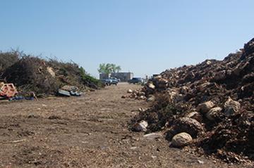 Rows of composting materials waiting to be composted.