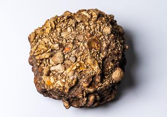 Conglomerate specimen