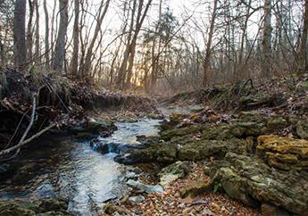 Nutrient loss reduction strategy