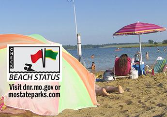 Public beach filled with beach umbrellas and visitors