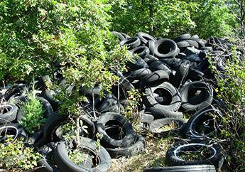 Scrap tires discarded on a hillside at the Purinton scrap tire dump, July 2006