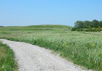 Looking at the northern portion of the inactive sanitary landfill from the demolition landfill.