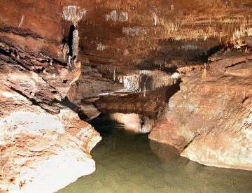 Carroll Cave, Camden County