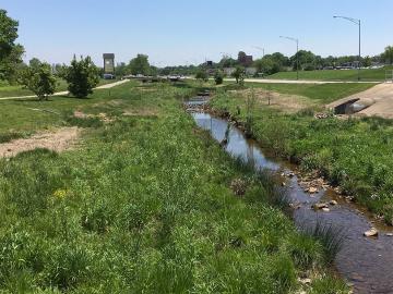 South Creek after remediation