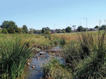 South Creek post construction