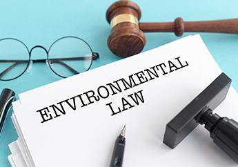 text Environmental Law with glasses and mallet