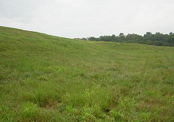 Capped closed sanitary landfill resembling a grassy hillside 