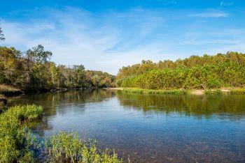 View of the Eleven Point River flowing between two banks lined with summer foliage.