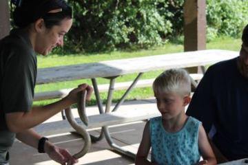 A blond toddler watches on as park interpreter Jesze holds shows of a legless lizard.