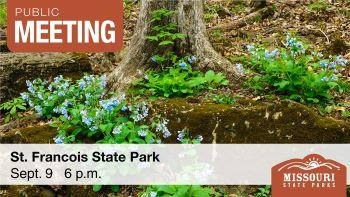 Tree surrounded by pale blue spring flowers found at St. Francois State Park