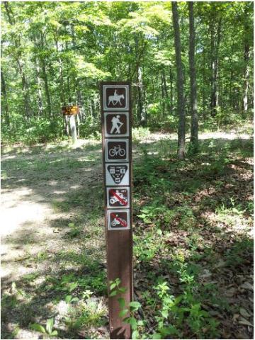 Brown sign post with trail symbols depicting equestrian, hiker, bicycle, trail etiquette, no ATV and no motorbikes in front of a trailhead